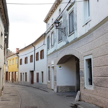 Oliver Street Apartment Vipava Exterior photo